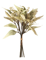 Bouquet d’eucalyptus vert pâle avec semences