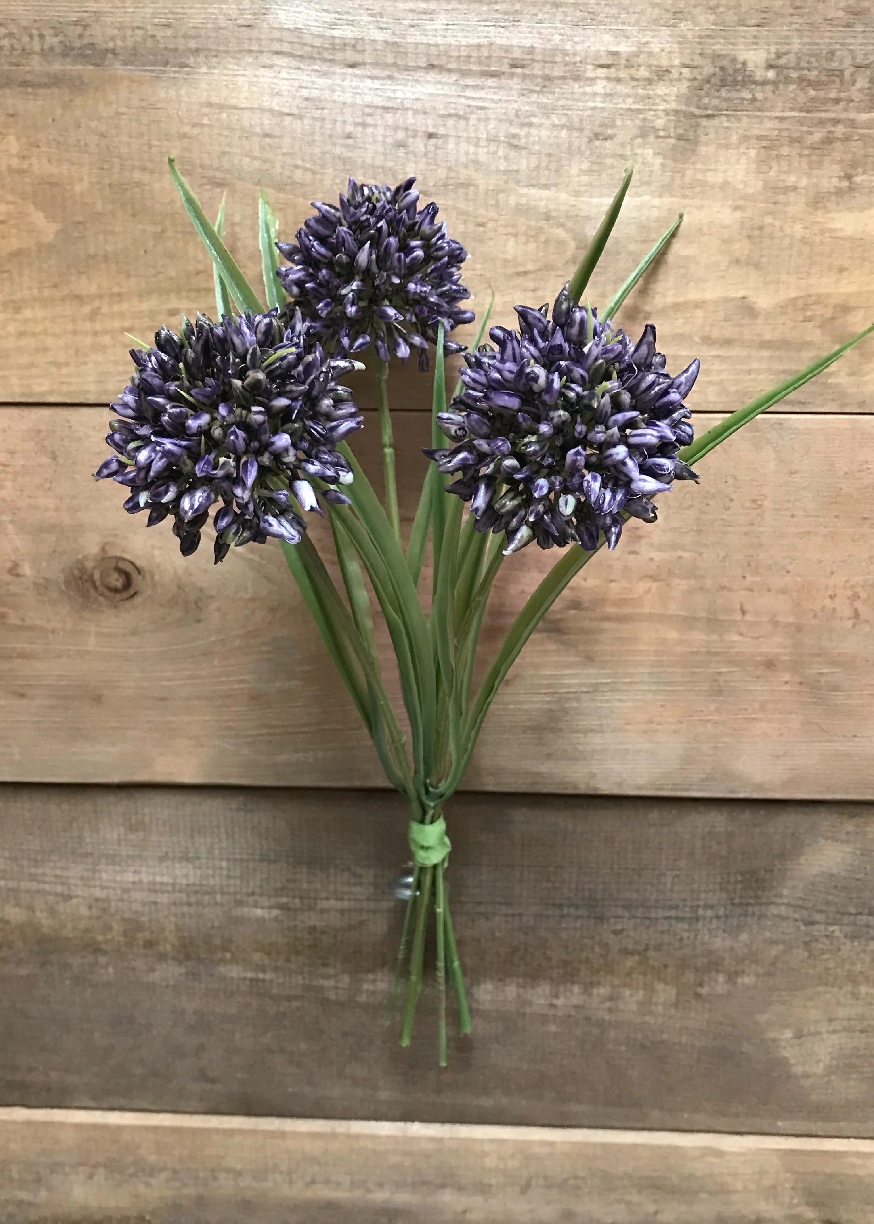 Tige d'Allium - Tri W Import