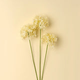 Tige d'Allium Crème - Indaba
