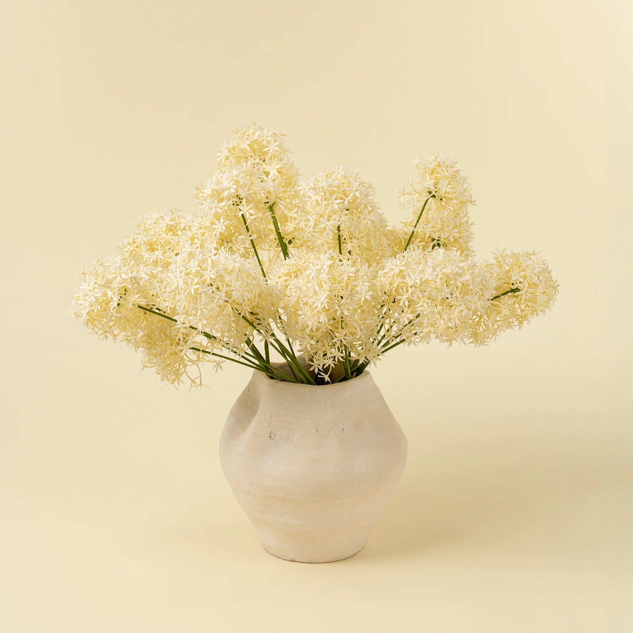 Tige d'Allium Crème - Indaba
