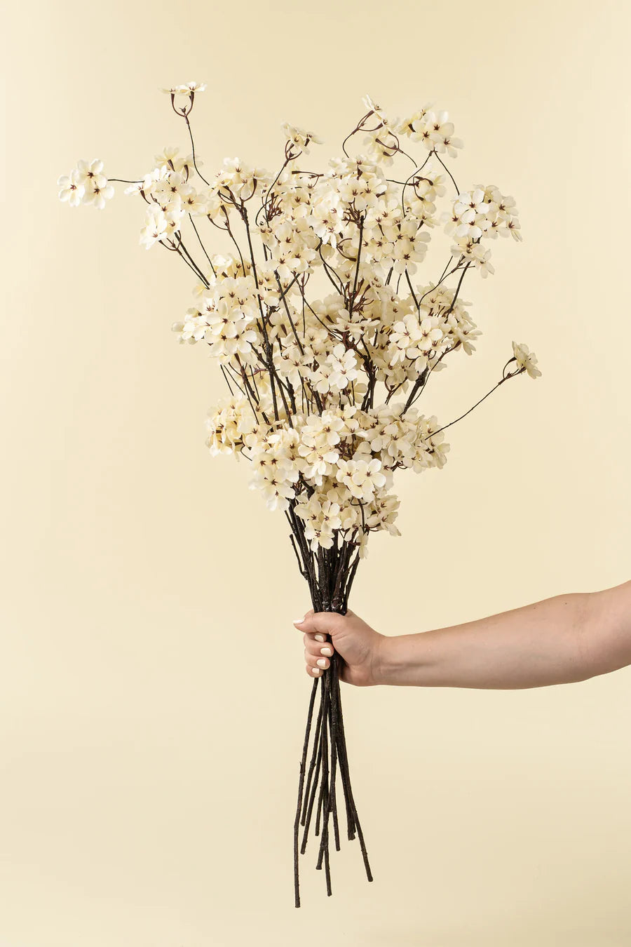 Branche de fleur de Poirier - Indaba