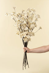 Branche de fleur de Poirier - Indaba