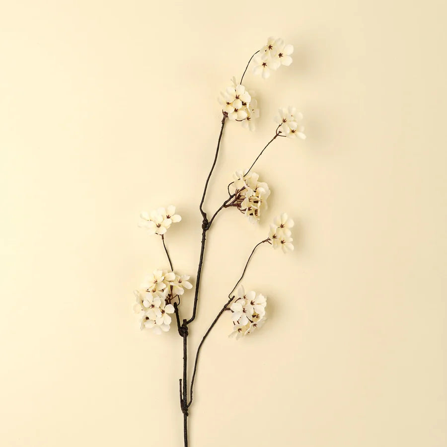 Branche de fleur de Poirier - Indaba