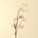 Branche de fleur de Poirier - Indaba