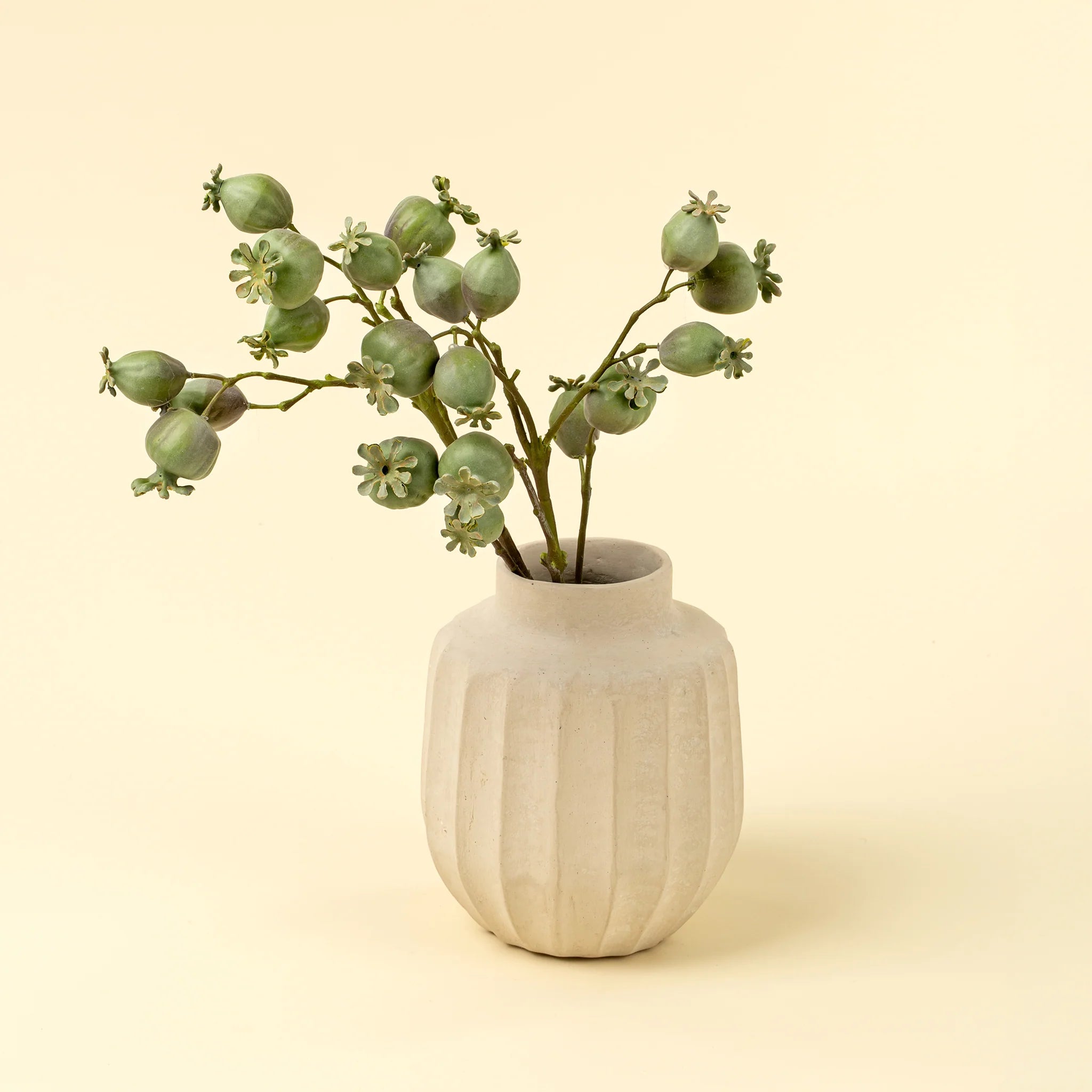 Branche de coquelicot - Indaba
