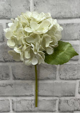 TIGE D’HORTENSIA 12" - Tri W Import