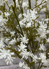 Petites Fleurs Blanches 22" - Tri W Import