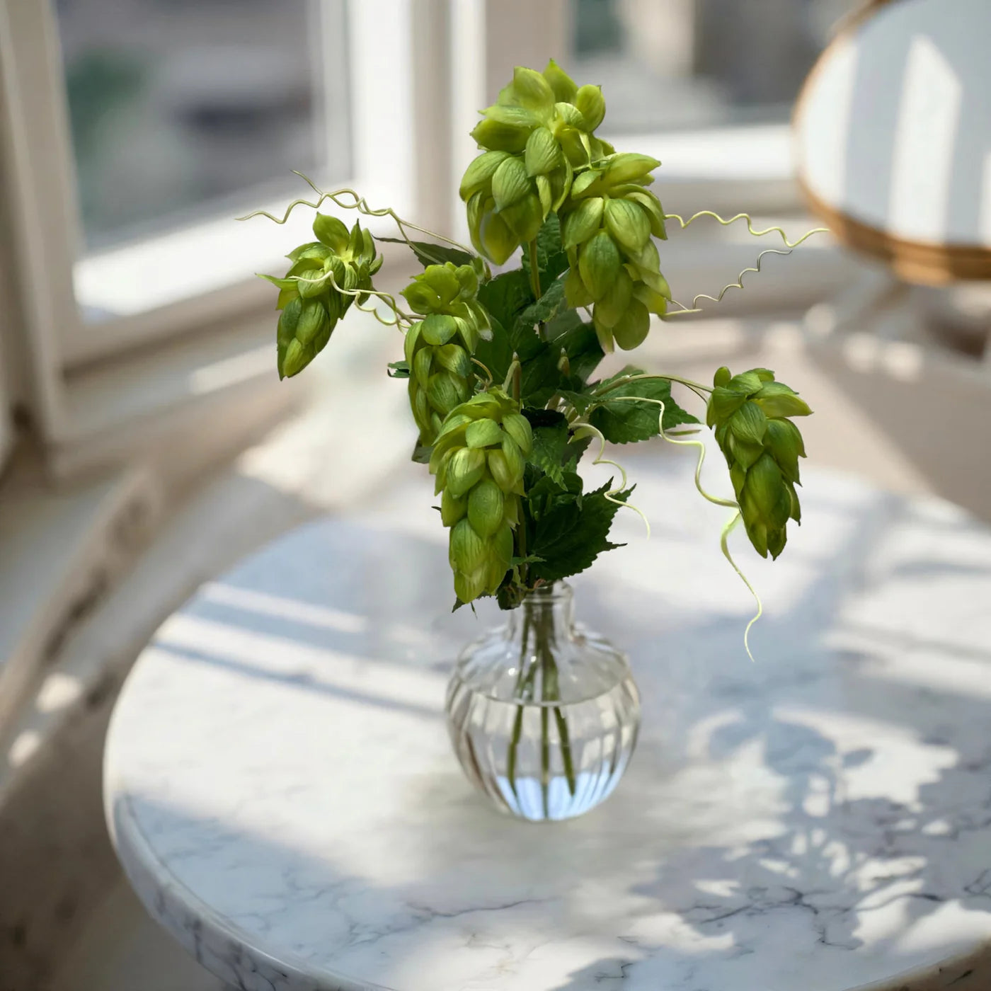 Bouquet de Houblon Vert - Tri W Import