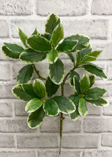 Branche décorative Karaka