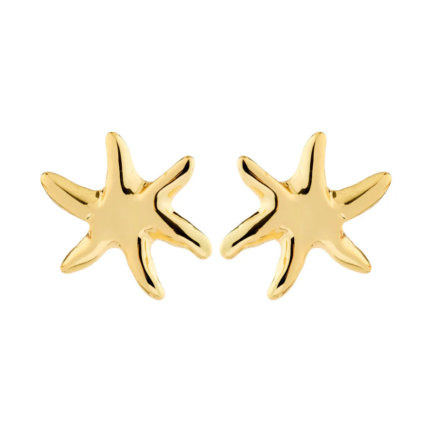 Boucles d’oreilles PRISM plaquées Or - Pilgrim