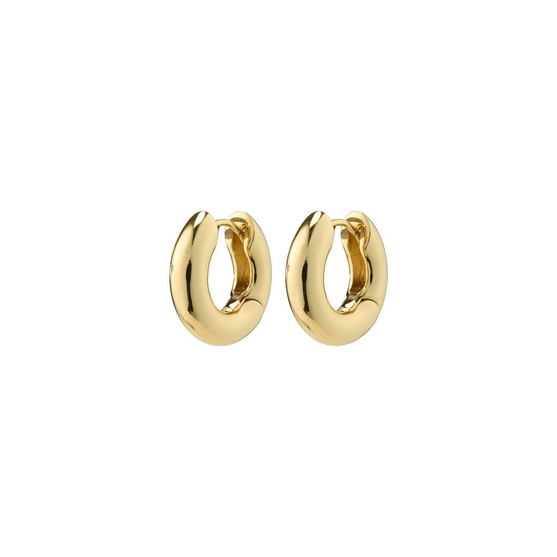 Boucle d'oreille AICA -Pilgrim
