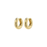 Boucle d'oreille AICA -Pilgrim
