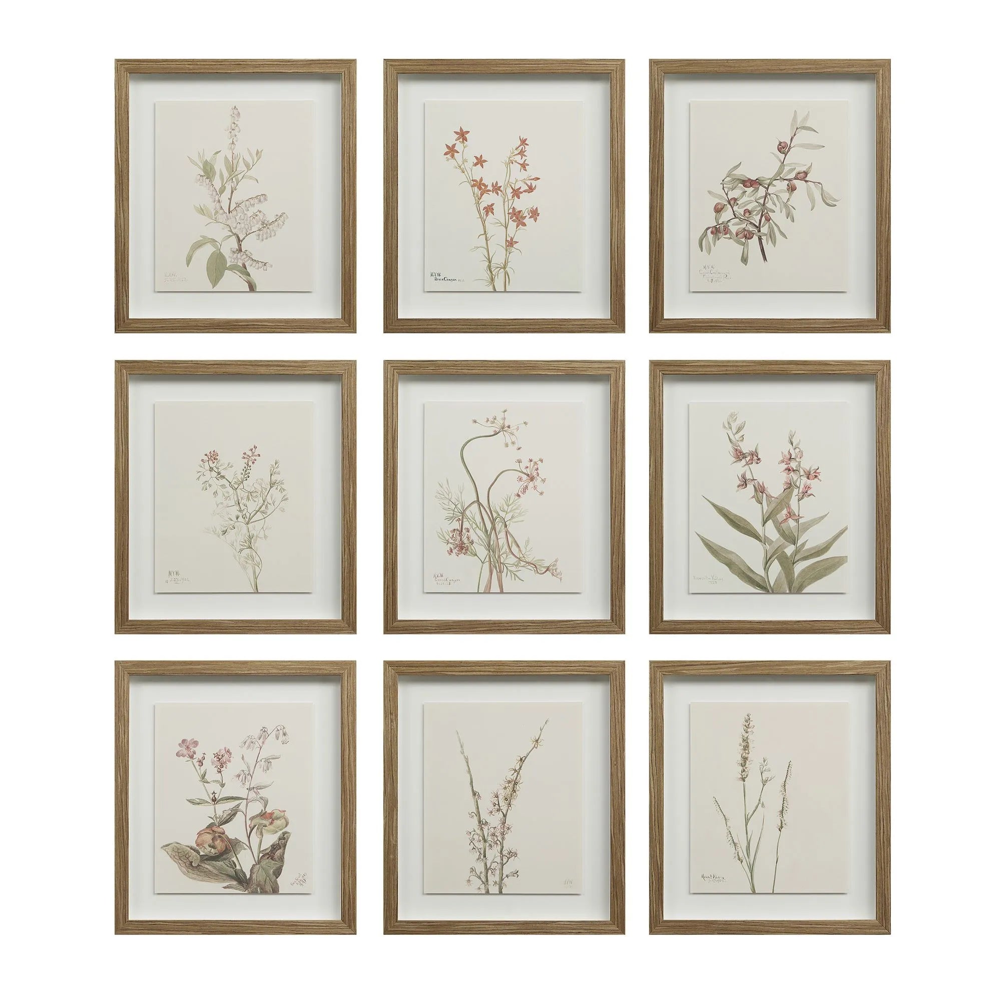 Cadre Floral Crema - Renwil
