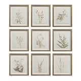 Cadre Floral Crema - Renwil