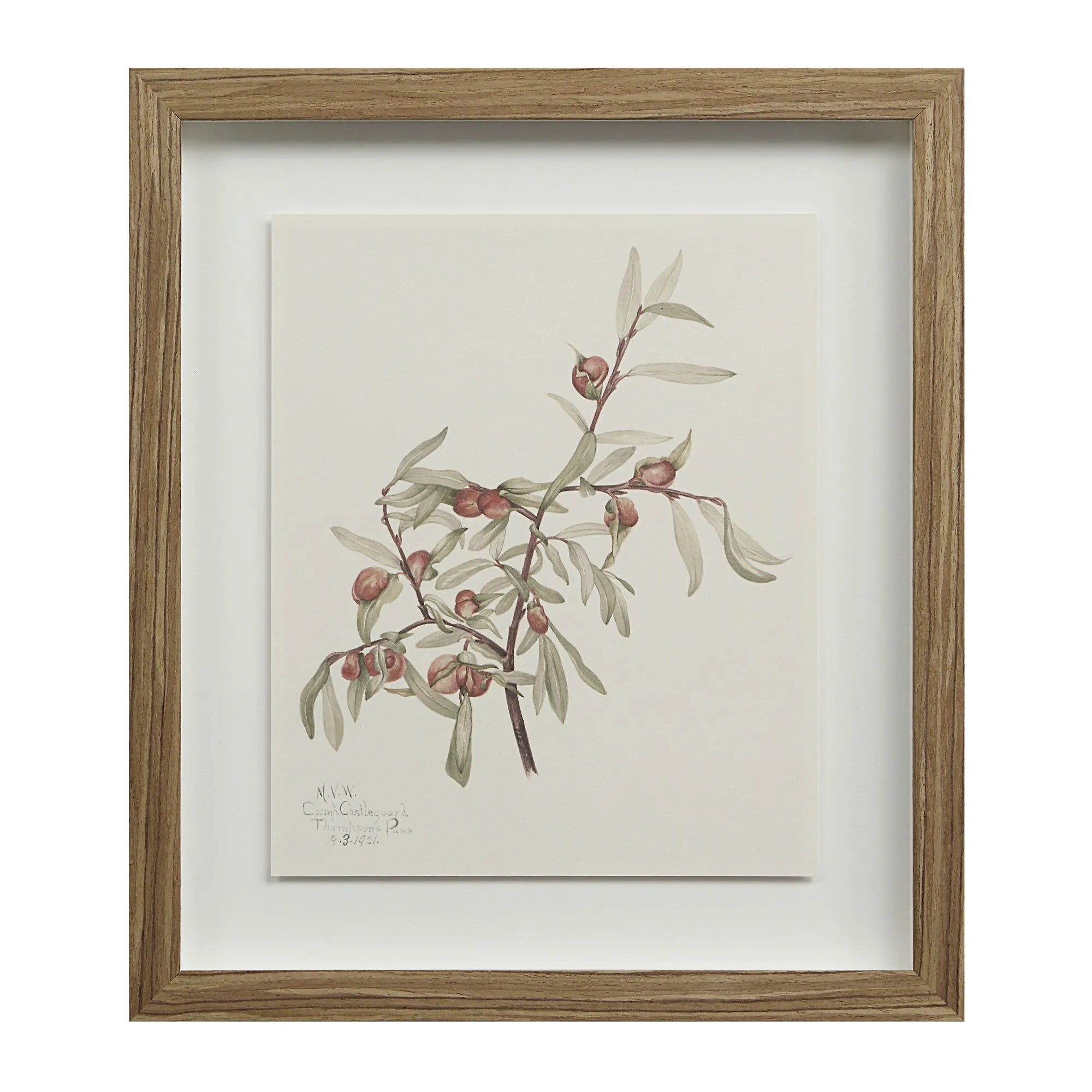 Cadre Floral Crema - Renwil