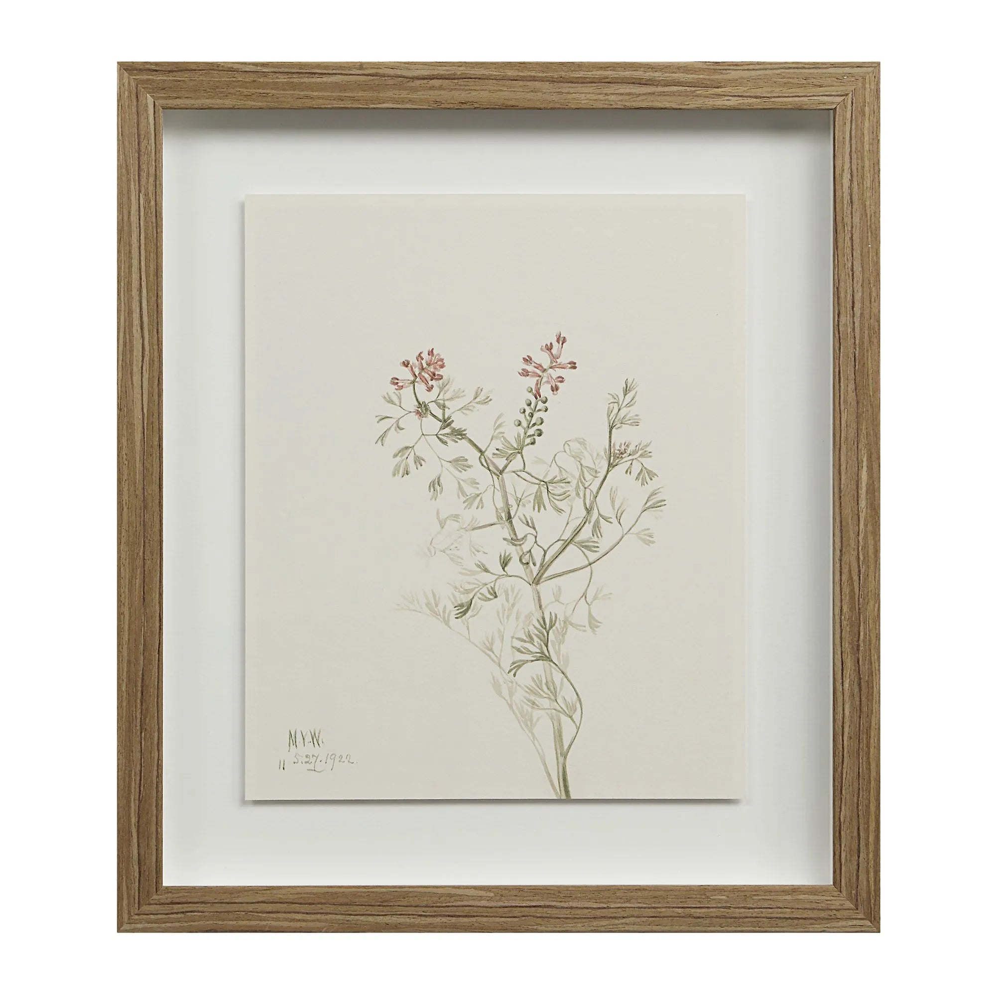 Cadre Floral Crema - Renwil