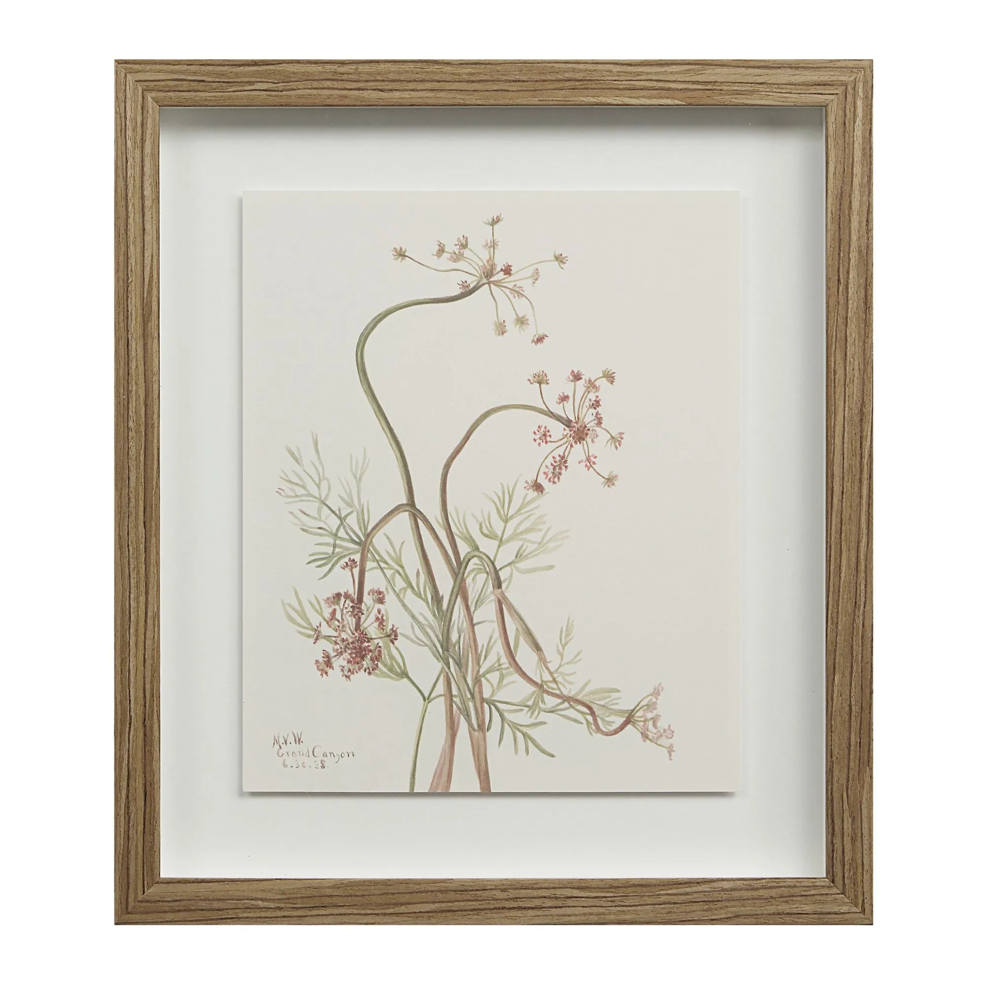 Cadre Floral Crema - Renwil