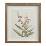 Cadre Floral Crema - Renwil