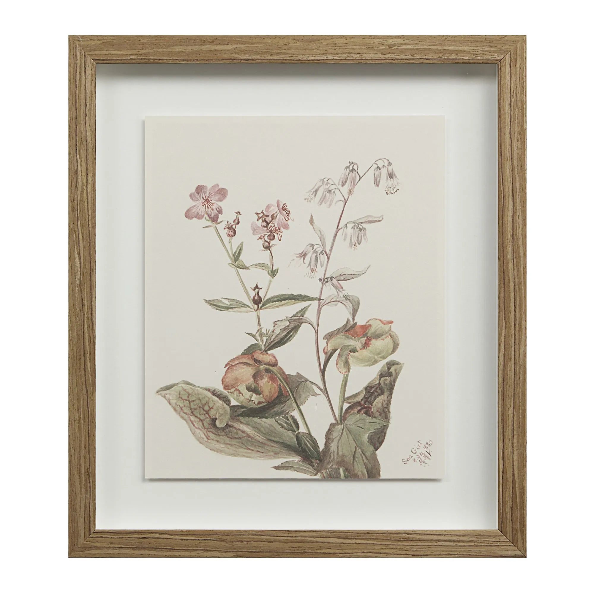 Cadre Floral Crema - Renwil
