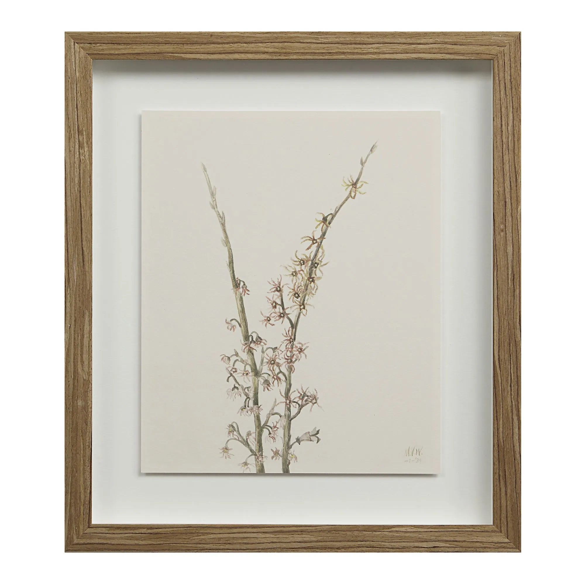 Cadre Floral Crema - Renwil