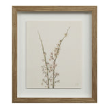 Cadre Floral Crema - Renwil