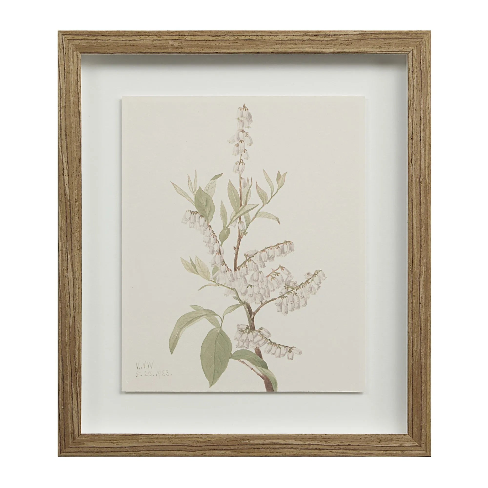 Cadre Floral Crema - Renwil