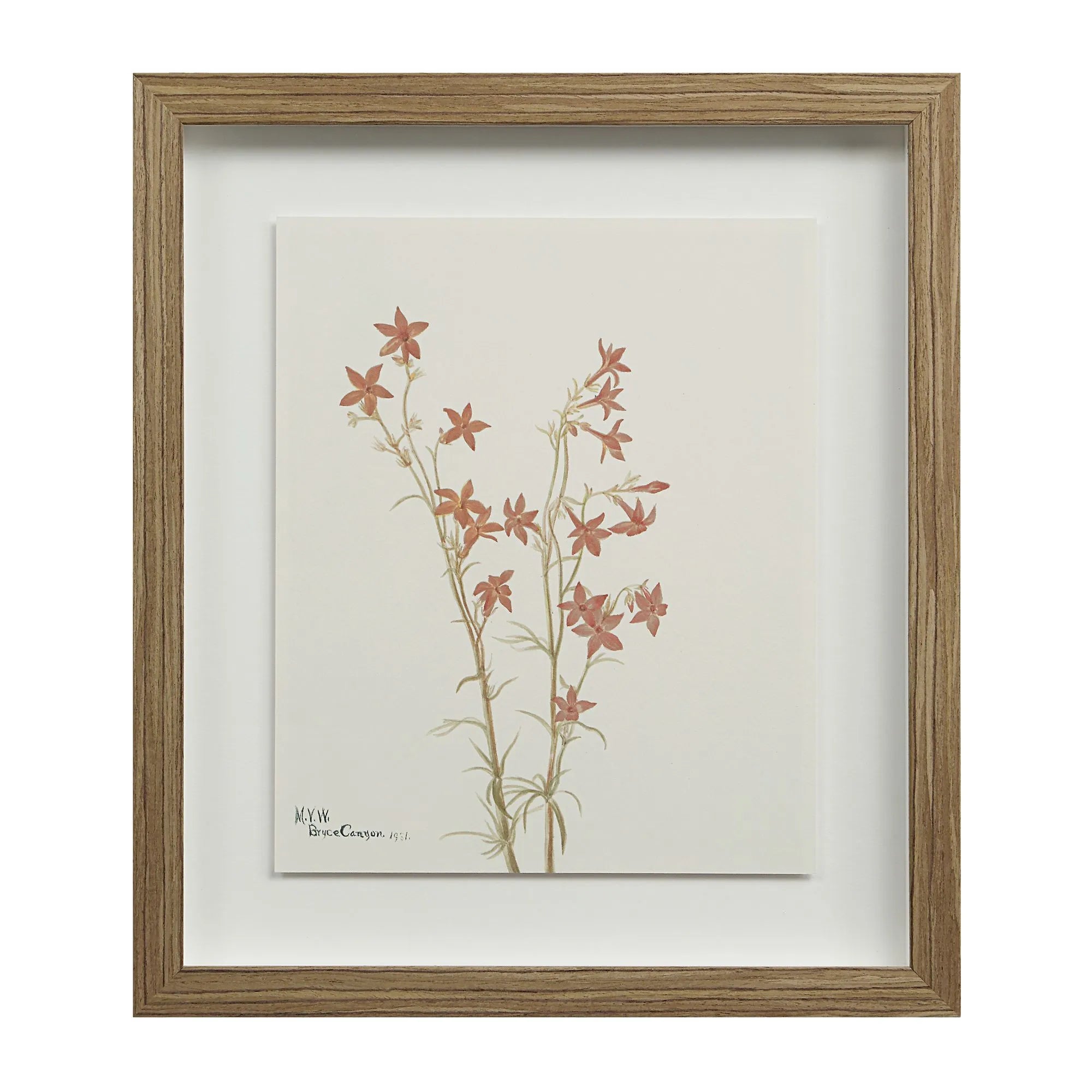 Cadre Floral Crema - Renwil