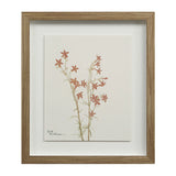 Cadre Floral Crema - Renwil