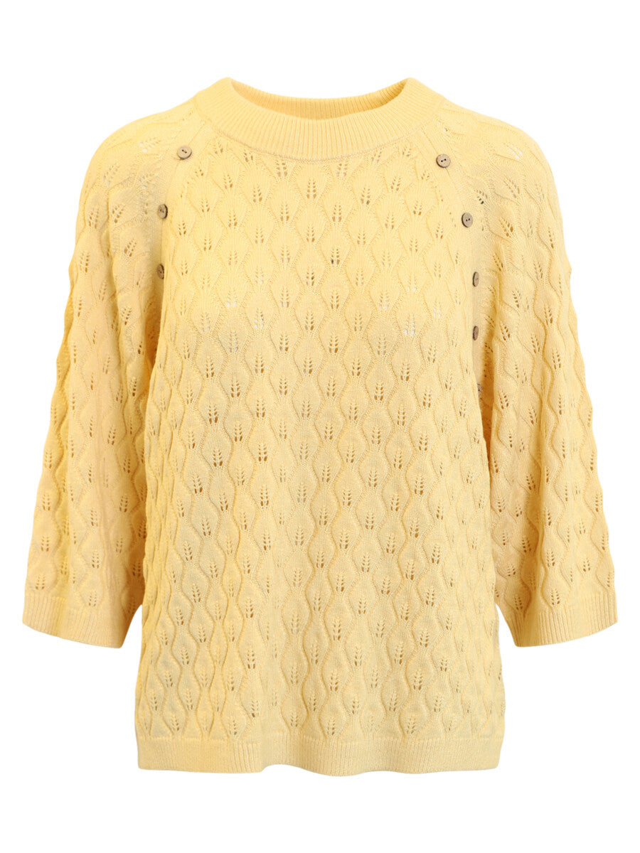 Pull en Maille Pointelle à Boutons – Brandtex