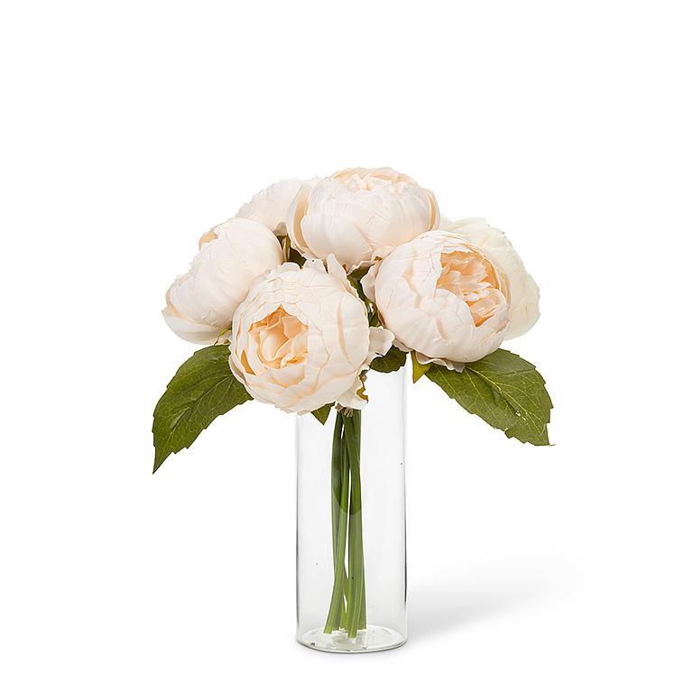 Bouquet de Pivoines - Abbott