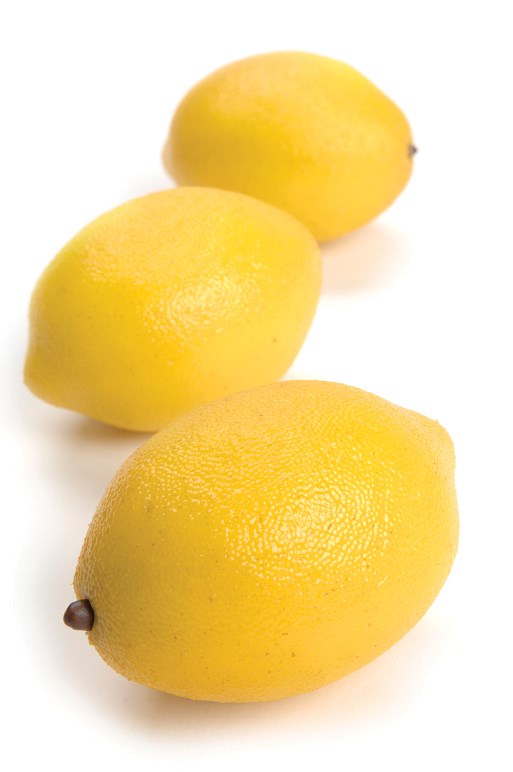 Citron Décoratif- Accent de Ville