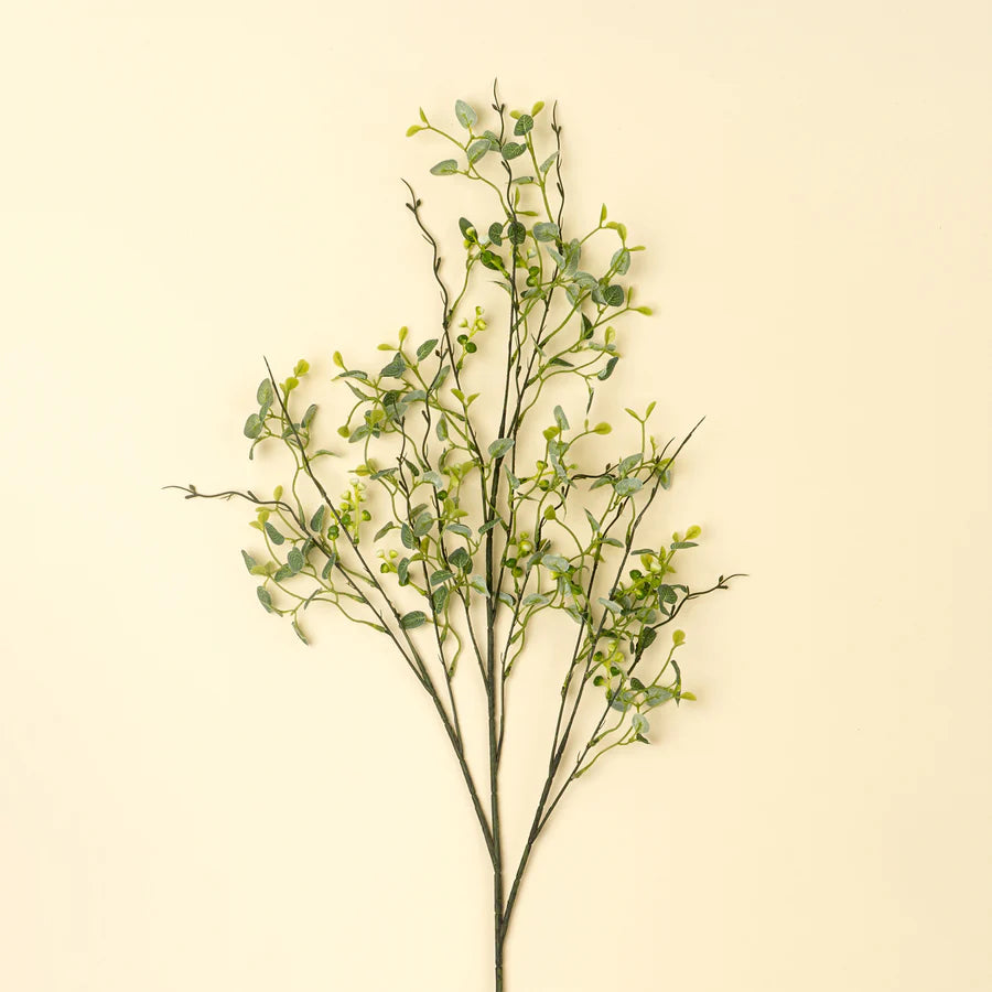 Branche d'Eucalyptus Papillon - Indaba