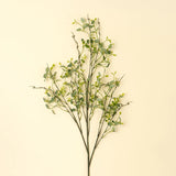 Branche d'Eucalyptus Papillon - Indaba