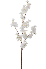 Branche de Fleurs de Cerisier - ADV