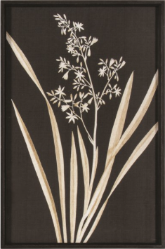 Tableau Mural Black Botanic