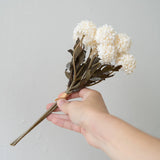 Bouquet Morandi Bloom blanc
