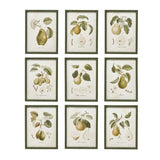 Cadre poire - Design Home