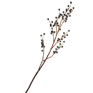 Branche de baies noir