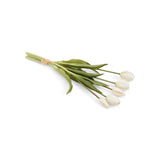 Bouquet de tulipes blanches