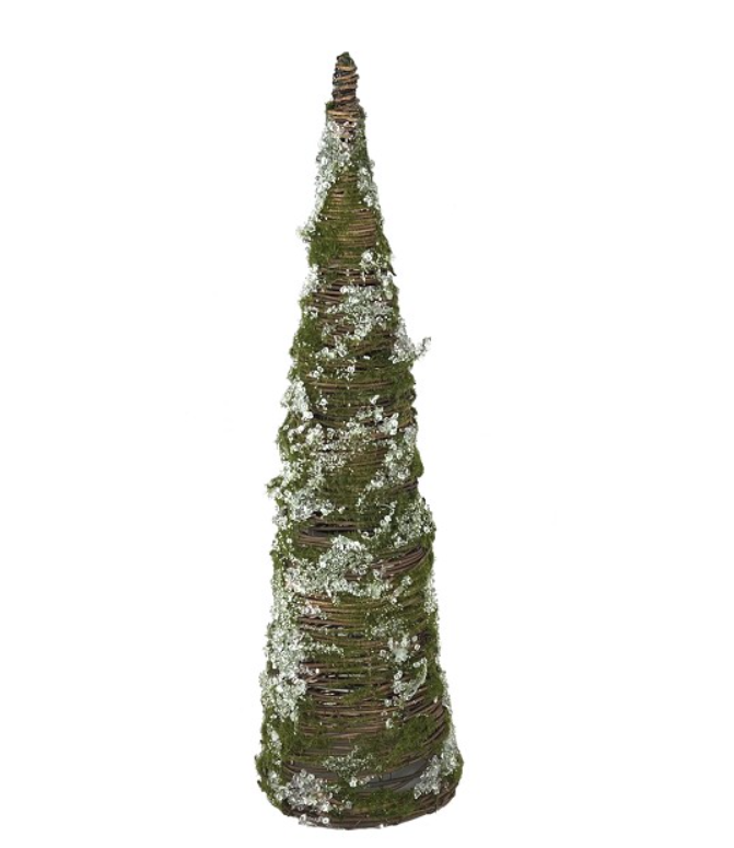 Sapin en cône givré