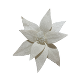 Poinsettia laineux ivoire brillant