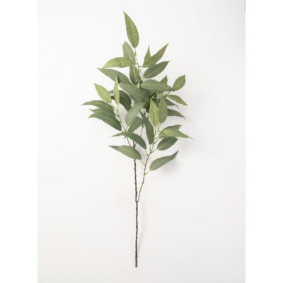 Branche d’eucalyptus 46"