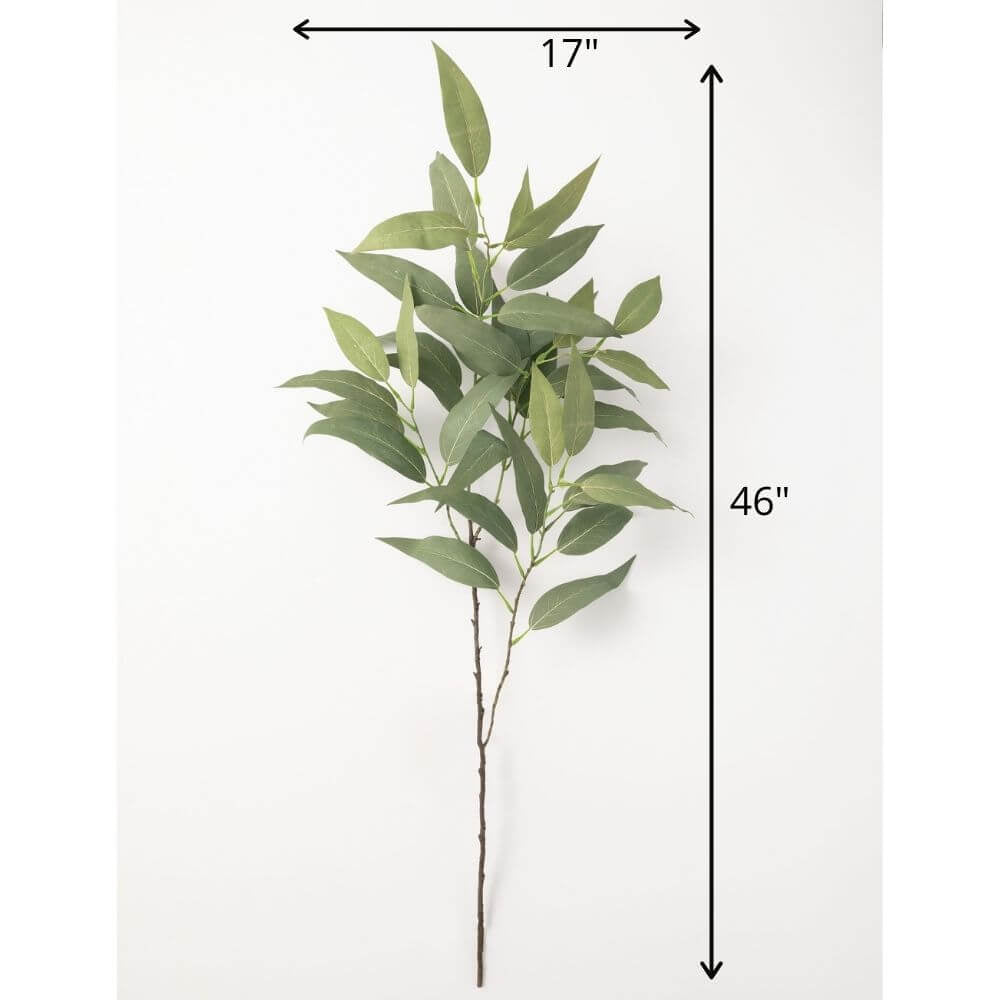 Branche d’eucalyptus 46"