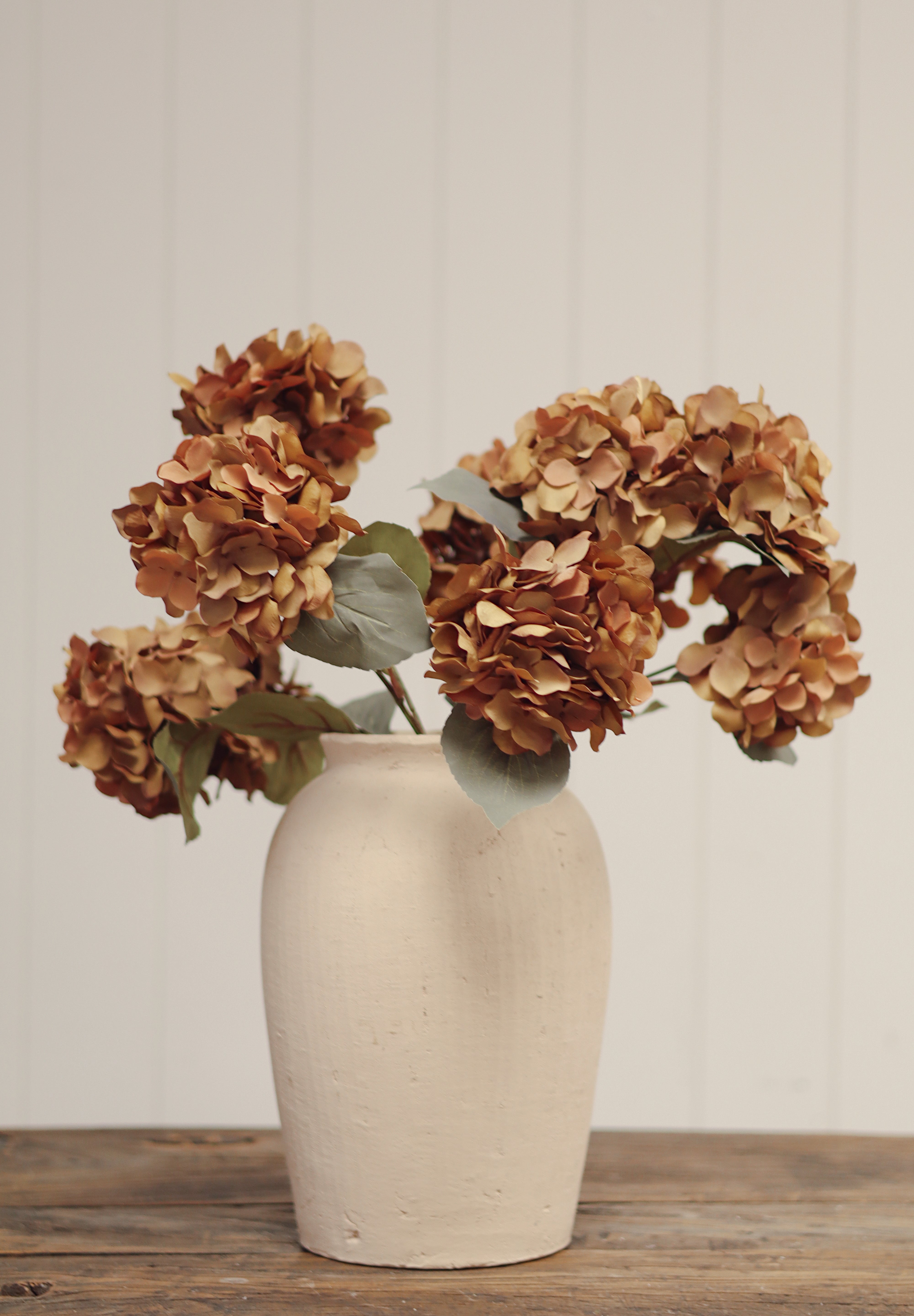 Tige de dahlia pompon marron - INDABA