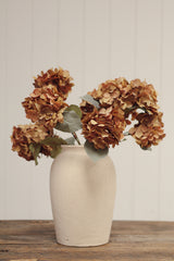 Tige de dahlia pompon marron - INDABA