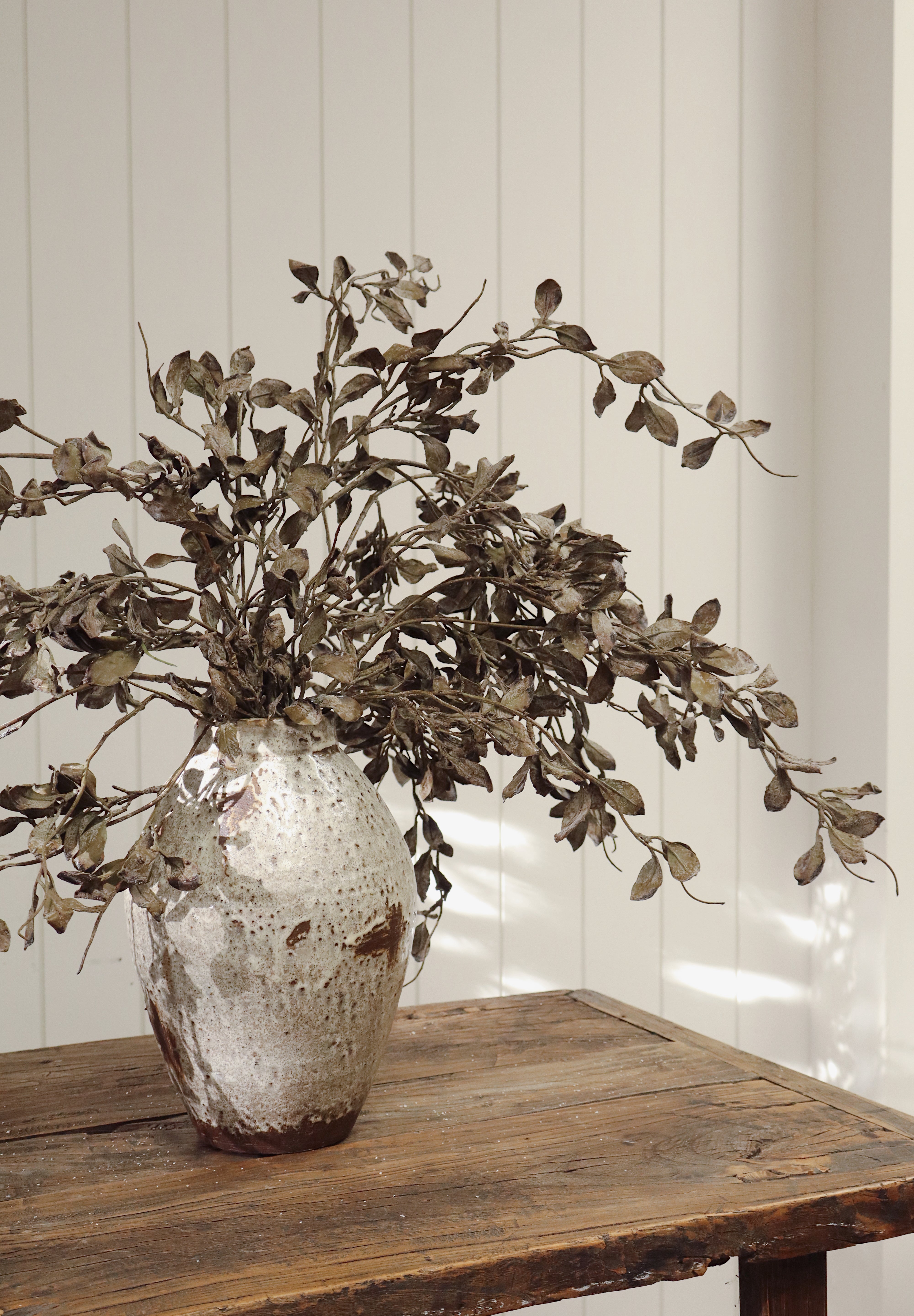 Tige d'eucalyptus - INDABA