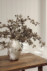 Tige d'eucalyptus - INDABA
