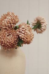 Tige Chrysanthème rosée