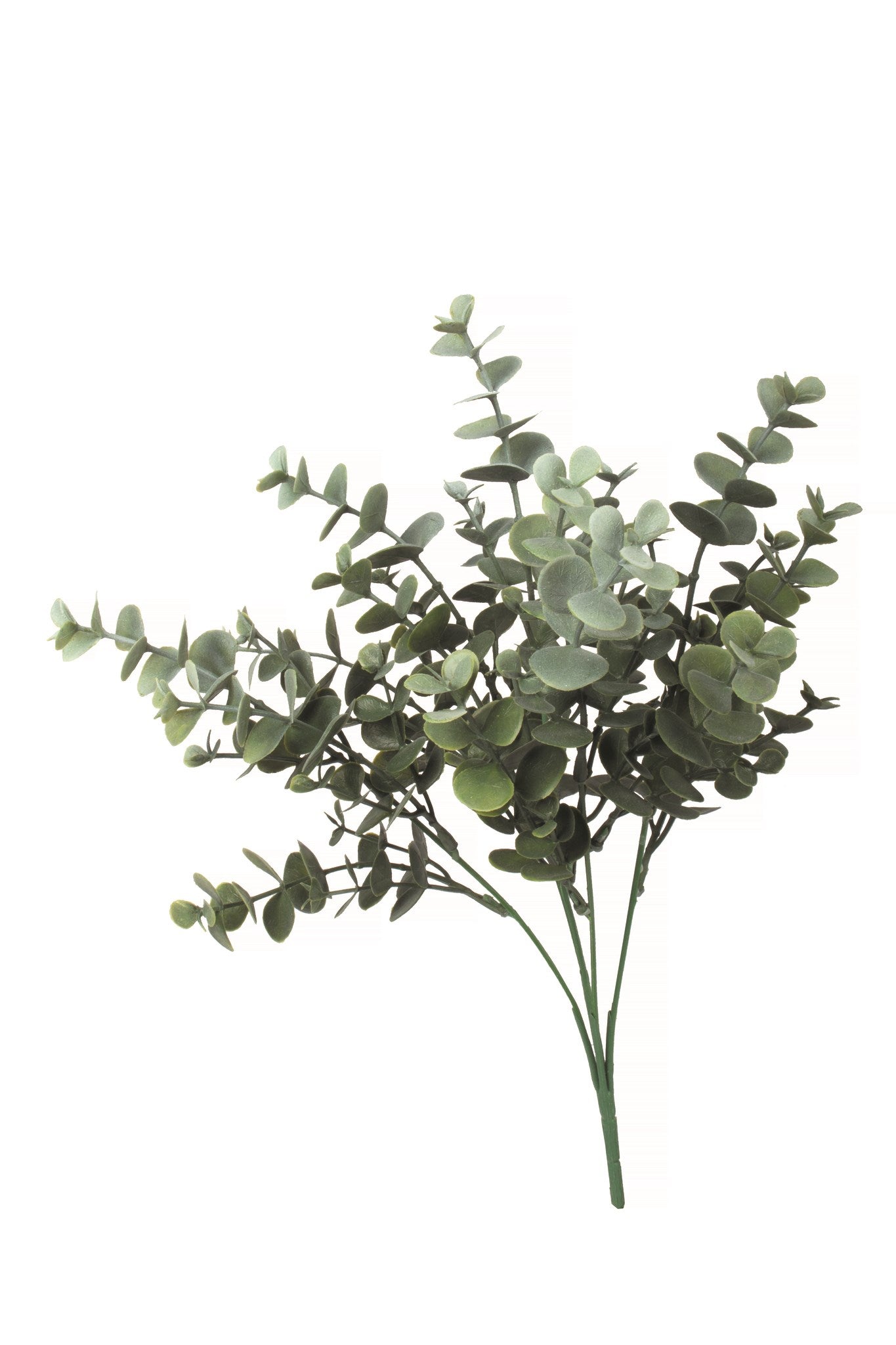 Tige d'Eucalyptus Artificiel - Nutcracker