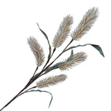 Broussaille de sorgho à pulvériser d’automne 25" beige